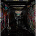 Heather Shutt Photo 8