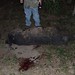Tracy Hunt Photo 28