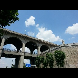 Shen Li Photo 12