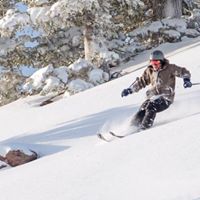 Austin Cook Photo 35