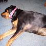 Diane Mccarty Photo 35