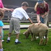 Rachel Billings Photo 28