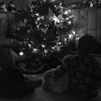 Kerry Russell Photo 31