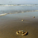 Sandy Quick Photo 19