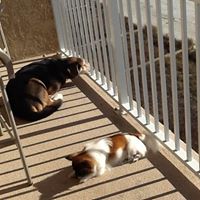 Melissa Kneece Photo 7