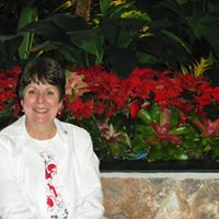 Kathleen Kimball Photo 5