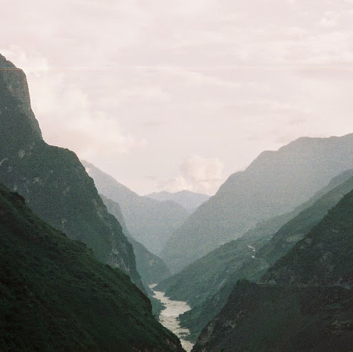 Alice Lim Photo 31