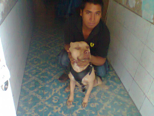 Ismael Saucedo Photo 5