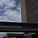 Joseph Lovelace Photo 12