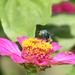 Linda Dodson Photo 21