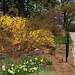 Barbara Rodgers Photo 13
