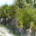 Sandy Keys Photo 18