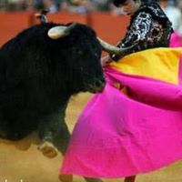 Emilio Aguilar Photo 27