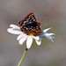 Jason Johnston Photo 48