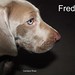Fred Weeks Photo 12