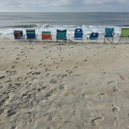Nancy Fink Photo 23