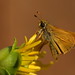 Charles Skipper Photo 26