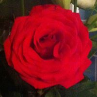 Maria Campbell Photo 35
