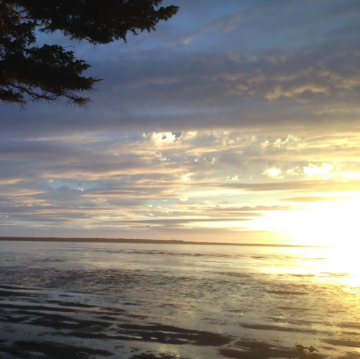 Sharon Shawver Photo 4