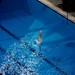 Thomas Daly Photo 35