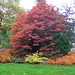 Jean Singleton Photo 37