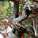 Deidre Jones Photo 35