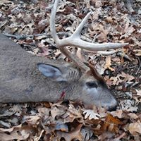 Josh Deal Photo 16