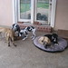 Mary Purdy Photo 24