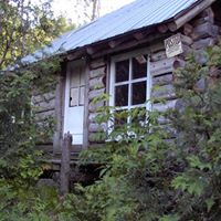 Carolyn Mcknight Photo 9