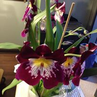 Mary Schafer Photo 26