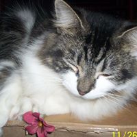 Annie Proctor Photo 18