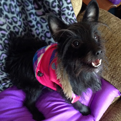 Kathy Schmidt Photo 21
