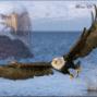 Stephen Spalding Photo 26