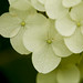 Laura Mcneely Photo 28