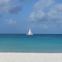 Ann Young Photo 6