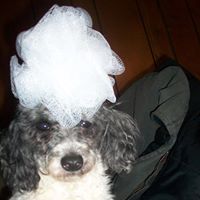 Heather Winters Photo 32