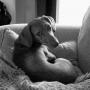 Cindy Riddle Photo 20
