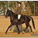 Janet Sharpe Photo 12