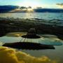 Steve Joyce Photo 35