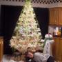 Brenda Jenkins Photo 28