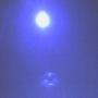 Michael Lind Photo 24