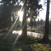 Maryann Green Photo 22