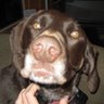 Mary Lantz Photo 10