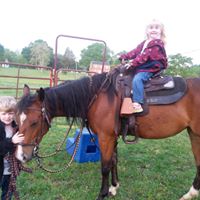 Sue Lovelace Photo 26