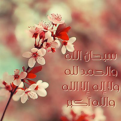 Khalid Qureshi Photo 14