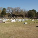 Nancy Anglin Photo 11