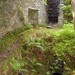 William Warble Photo 8