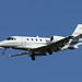 Steven Herndon Photo 32