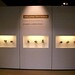 Cheryl Nickels Photo 15