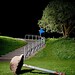 Dale Macdonald Photo 14